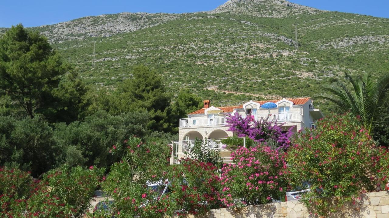 Beachfront Vala With A Swimming Pool Apartment