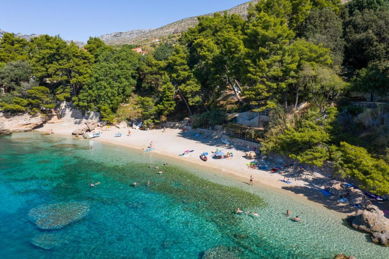 Beachfront Vala With A Swimming Pool Apartment Orebic