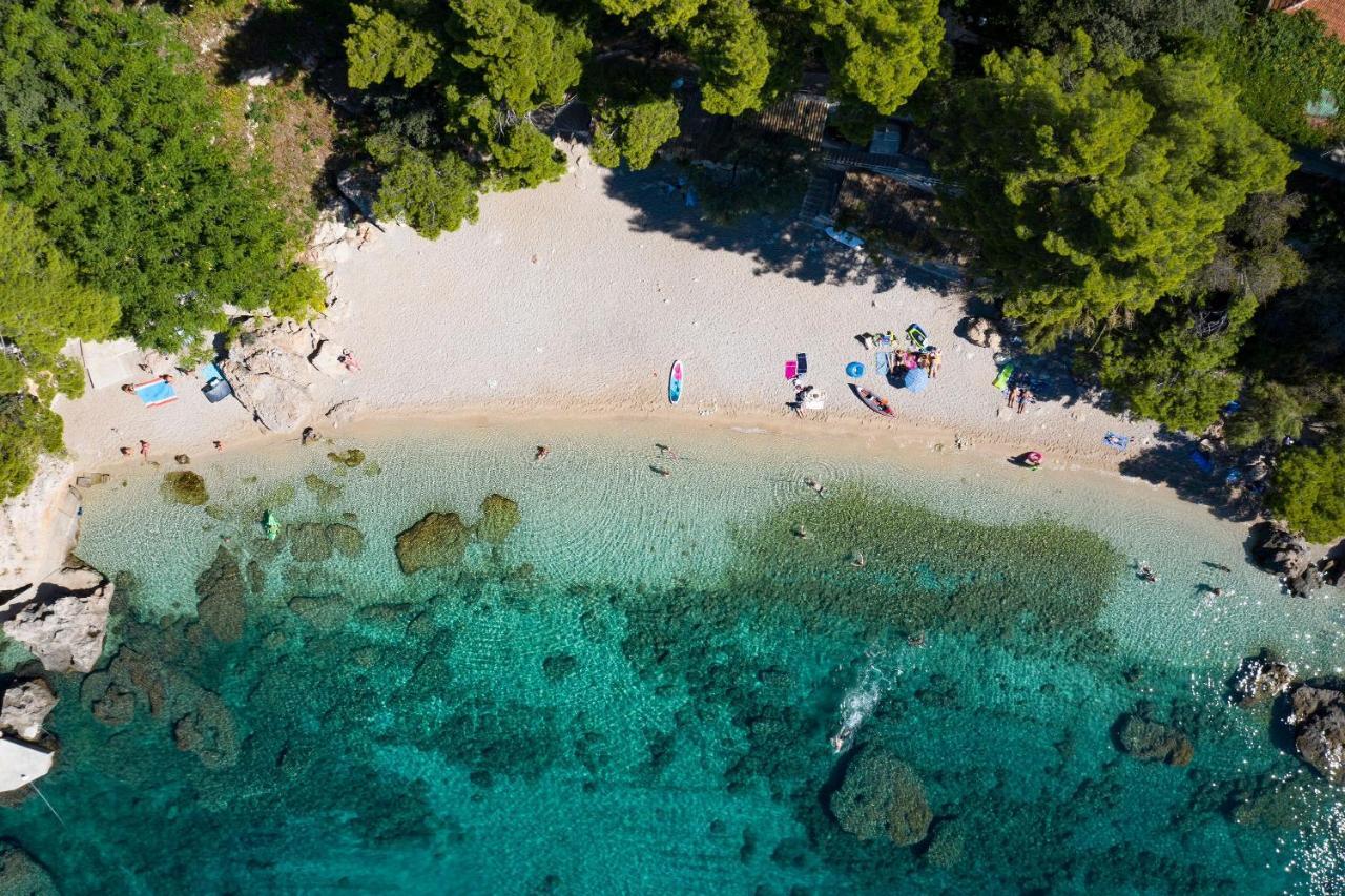 Beachfront Vala With A Swimming Pool Apartment