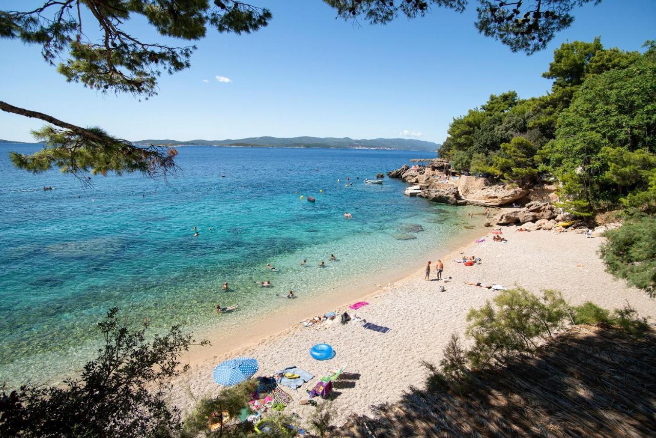 Beachfront Vala With A Swimming Pool Apartment